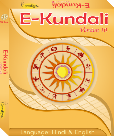 E Kundali Professional 10