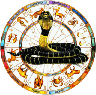 Download Kalsarpa Yoga Explorer